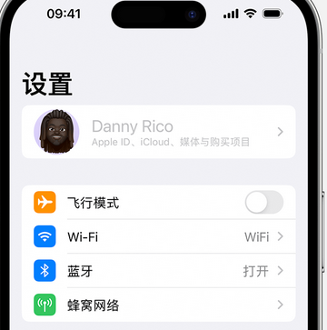 和政appleID维修服务iPhone设置中Apple ID显示为灰色无法使用 