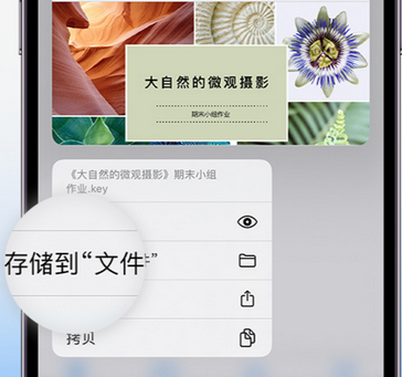 和政apple维修中心分享iPhone文件应用中存储和找到下载文件