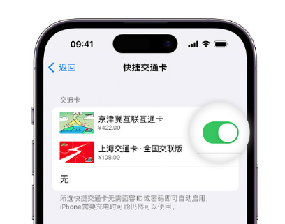 和政apple维修点分享iPhone上更换Apple Pay快捷交通卡手绘卡面 