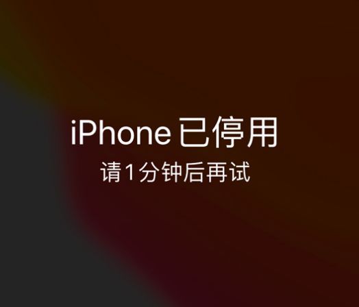 和政苹果手机维修分享:iPhone 显示“不可用”或“已停用”怎么办？还能保留数据吗？ 