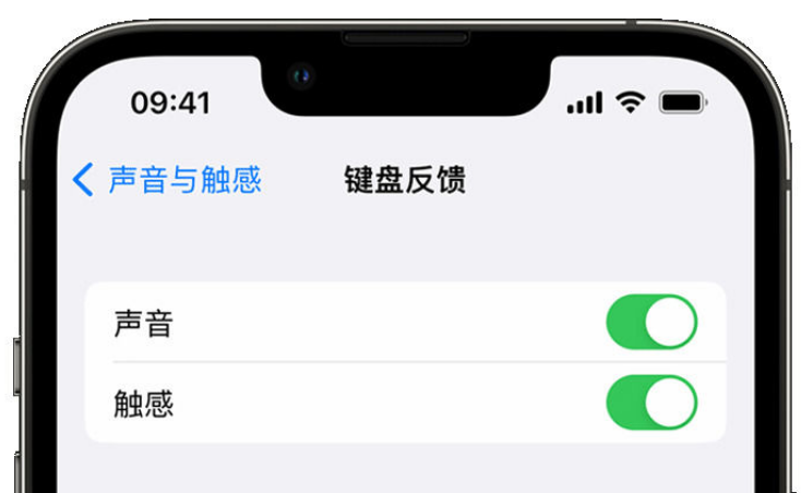 和政苹果手机维修分享iPhone 14触感键盘使用方法 