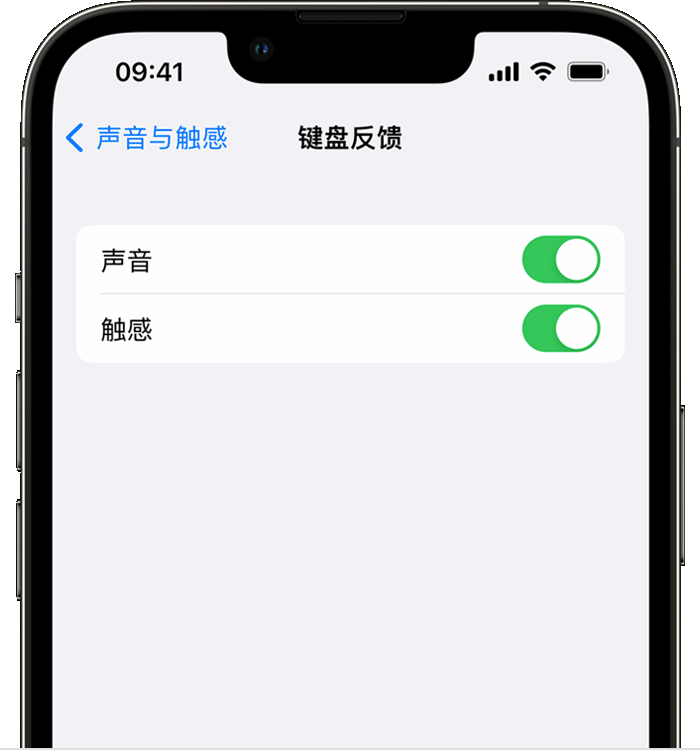 和政苹果14维修店分享如何在 iPhone 14 机型中使用触感键盘 