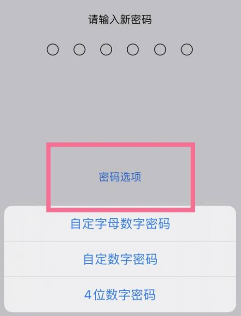 和政苹果14维修分享iPhone 14plus设置密码的方法 