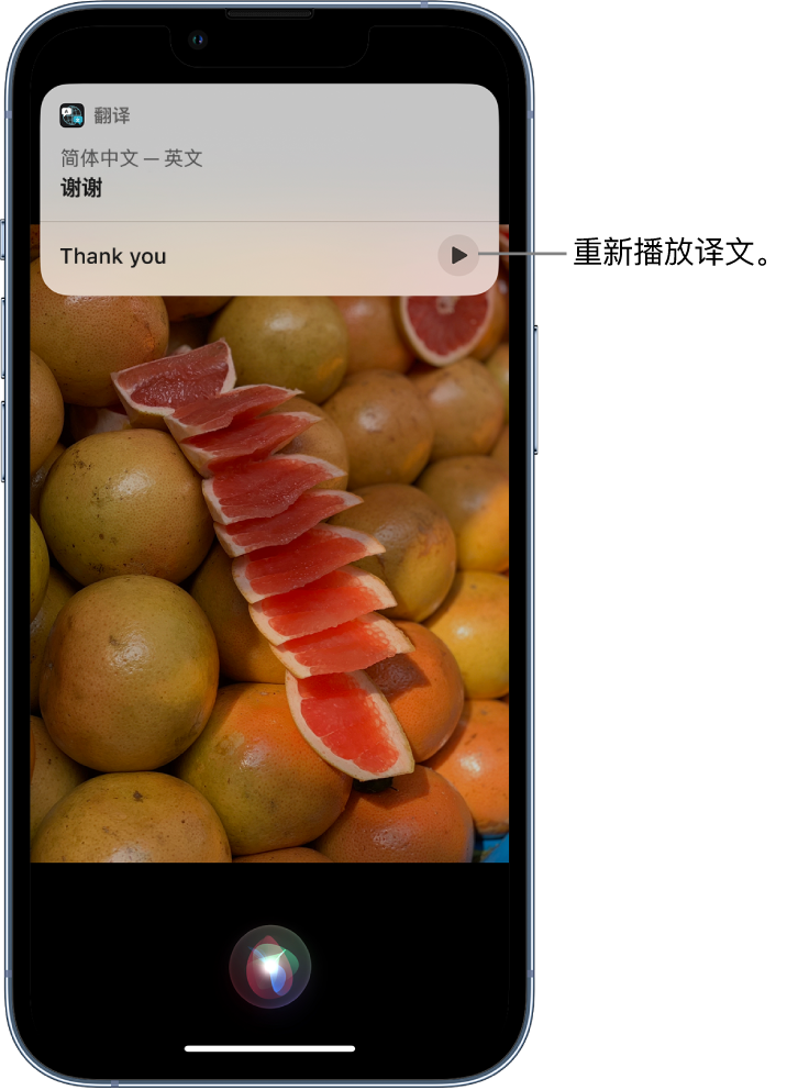 和政苹果14维修分享 iPhone 14 机型中使用 Siri：了解 Siri 能帮你做什么 